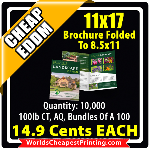 11x17 folded brochure